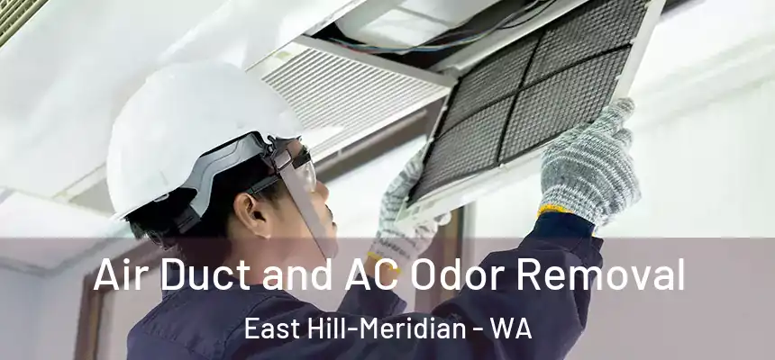 Air Duct and AC Odor Removal East Hill-Meridian - WA