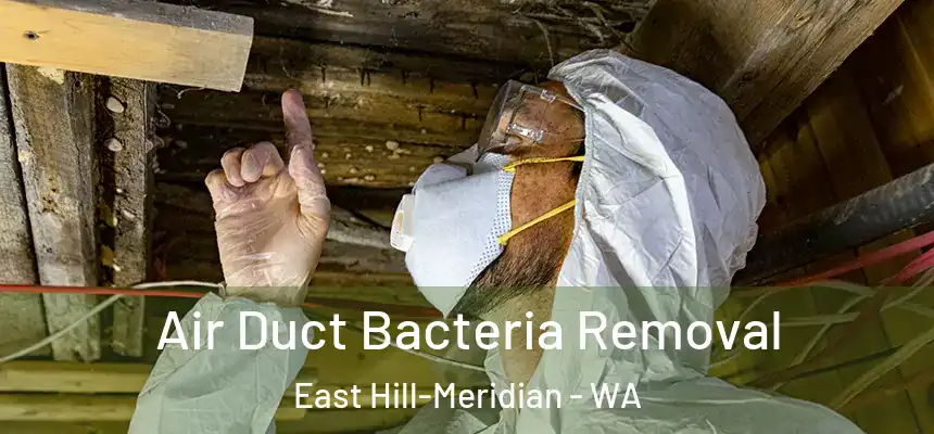 Air Duct Bacteria Removal East Hill-Meridian - WA
