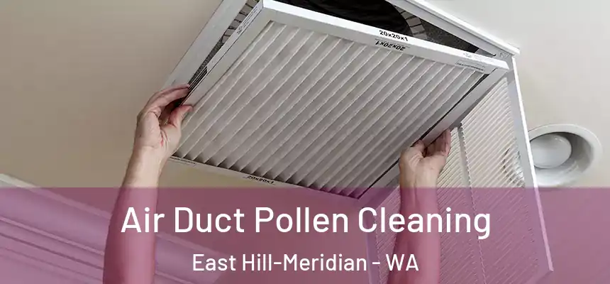  Air Duct Pollen Cleaning East Hill-Meridian - WA