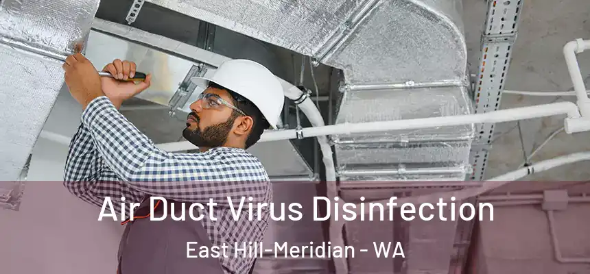  Air Duct Virus Disinfection East Hill-Meridian - WA