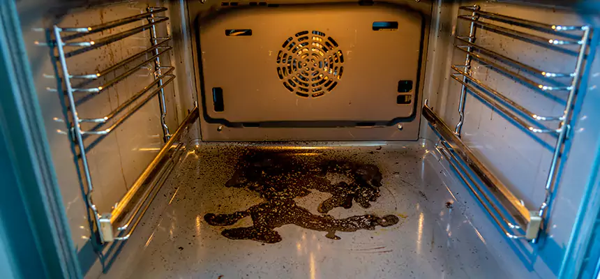 Our Air Purifier Installation Services in East Hill-Meridian, WA