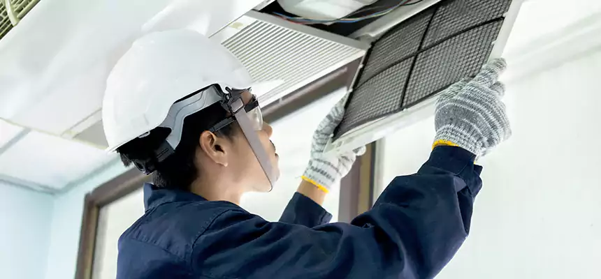 Our Mold & Mildew Removal from Air Ducts Services in East Hill-Meridian, WA