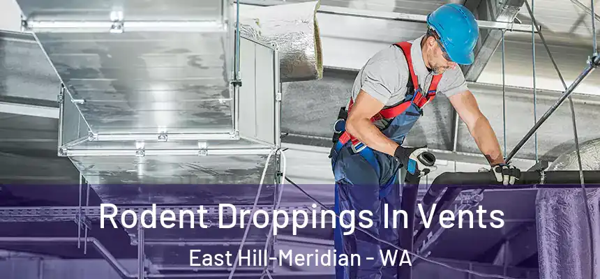  Rodent Droppings In Vents East Hill-Meridian - WA
