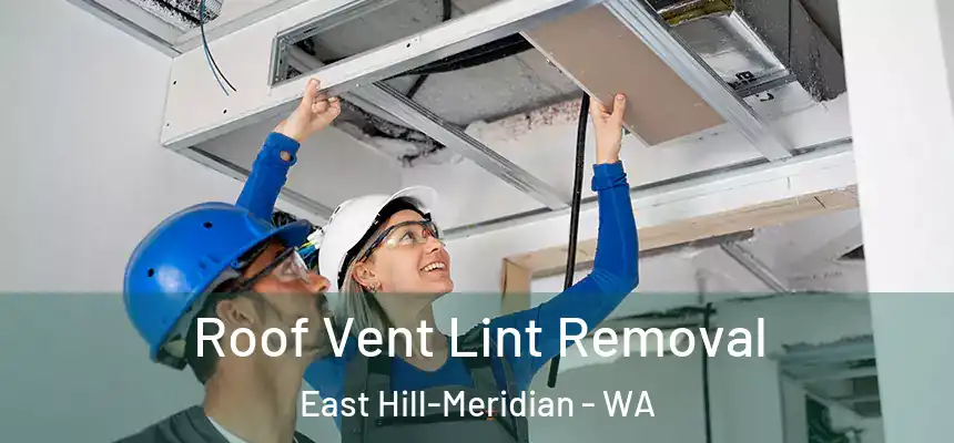  Roof Vent Lint Removal East Hill-Meridian - WA