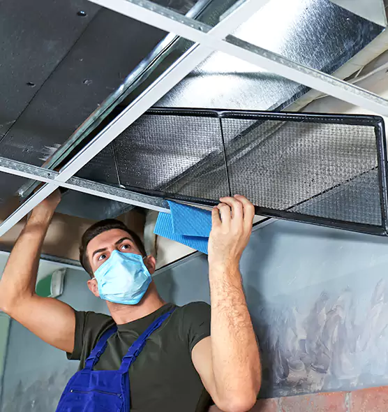 Professional Air Duct Pollen Cleaning in East Hill-Meridian, WA
