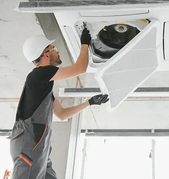 About Air Duct Rodent Removal in East Hill-Meridian, WA