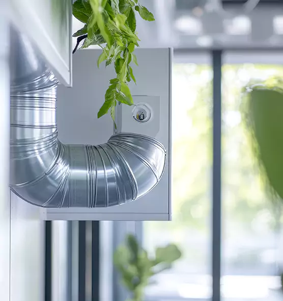 Professional Eco-Safe Dryer Vent Cleaning in East Hill-Meridian, WA