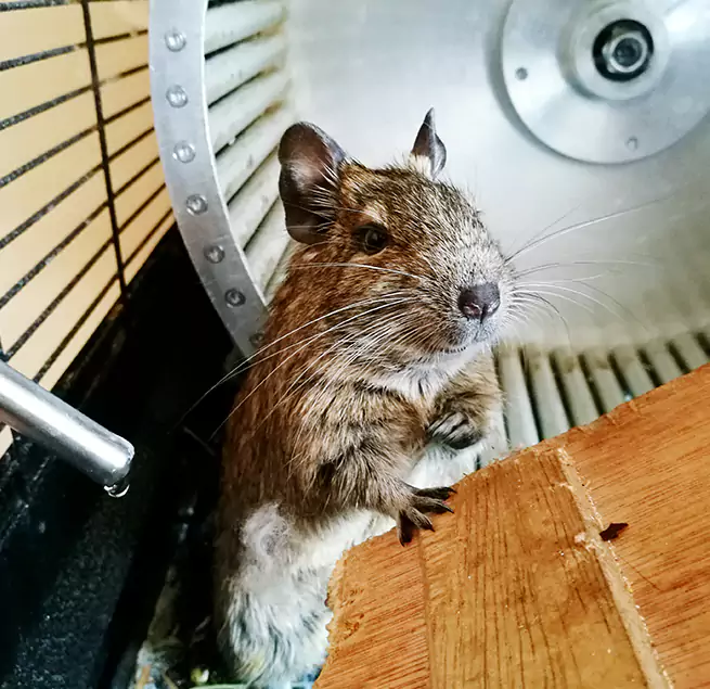 Why Homeowners & Businesses Trust Us East Hill-Meridian, WA