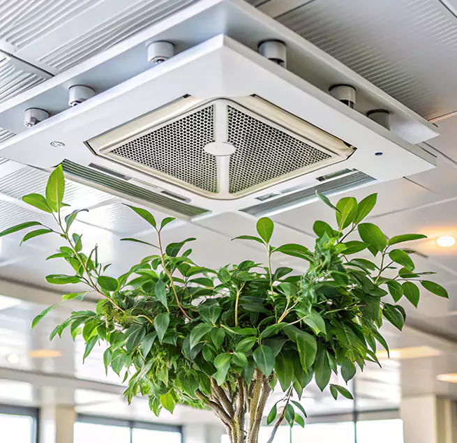 Why Homeowners & Businesses Trust Us in East Hill-Meridian, WA