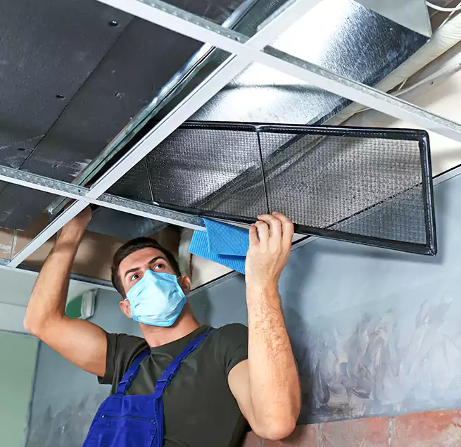 Why Homeowners Businesses Trust Us in East Hill-Meridian, WA